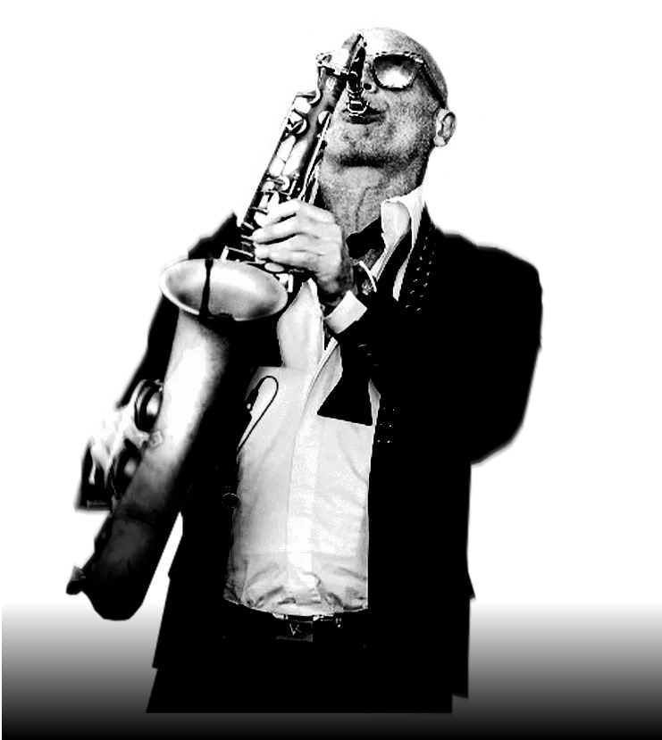 Booking LAURENT VELLUZ